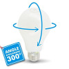 Ampoule LED E27 10W Eq 75W MAT Dimmable En verre