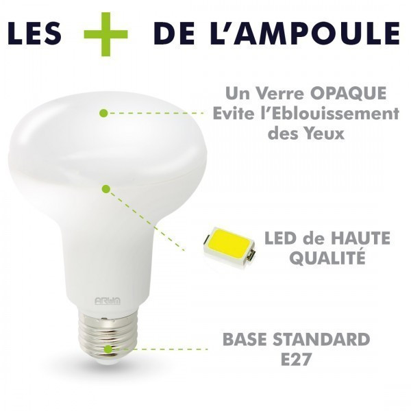 Ampoule LED E27 10W R80