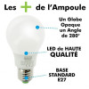 Lot de 10 Ampoules LED E27 9W eq 60W 806lm