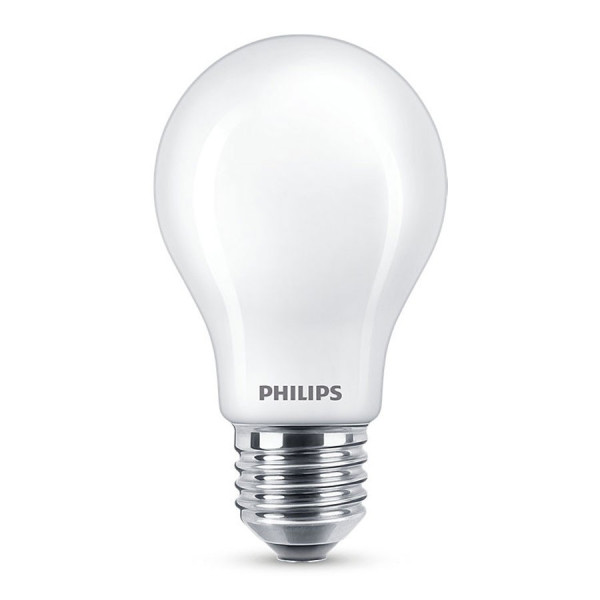 Ampoule LED E27 8.5W Verre Opaque Equi. 75W