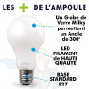 Lot de 3 Ampoules LED 7W  Eq 60W Dépoli standard E27