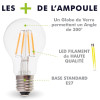 Ampoule LED E27 A60 4W Eq 40W Blanc Chaud