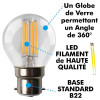 Guirlande guinguette Professionnelle 10 Ampoules LED B22 4W Blanc Chaud 10 mètres Interconnectable