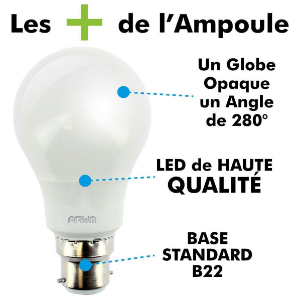 Ampoule LED B22 11W 2700K Equivalent 75W